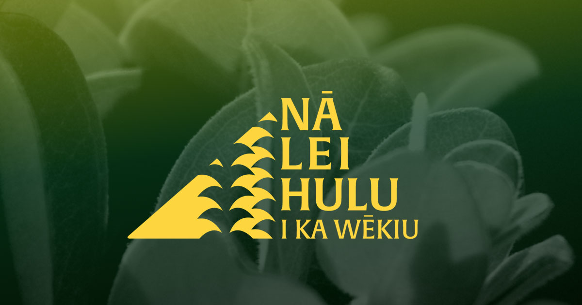 Nā Lei Hulu i ka Wēkiu — Hawaiian Hula Dance Company SF